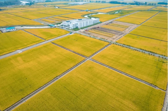 Farm without farmers: a peek into unmanned farm in E China's Jiangsu province