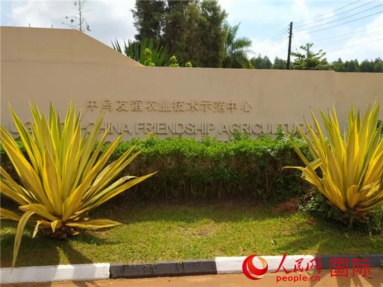 中国减贫实践具有重要借鉴意义