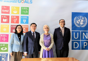 Director General Liu Junwen visited the UNDP in China
