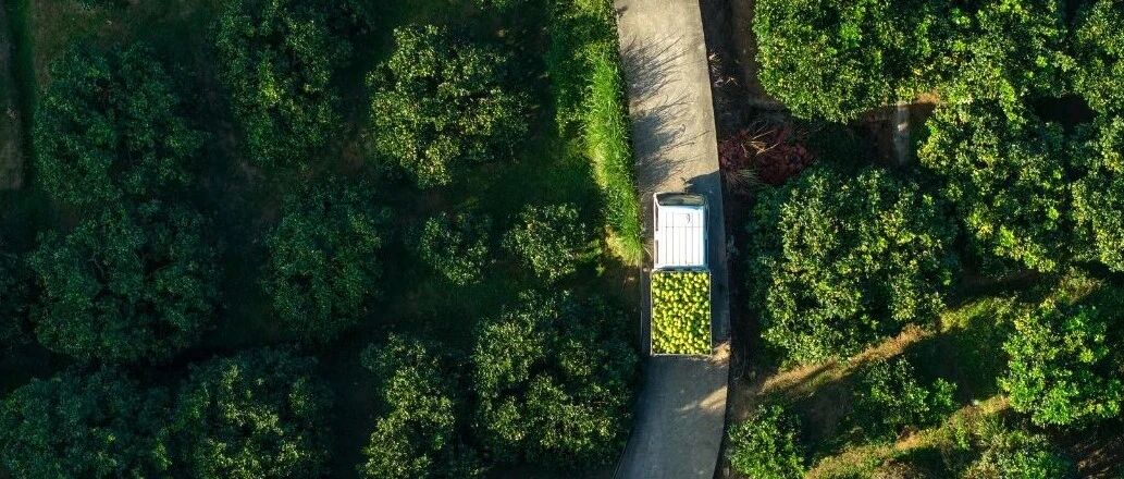 感悟“十五五”规划建议里的民生温度