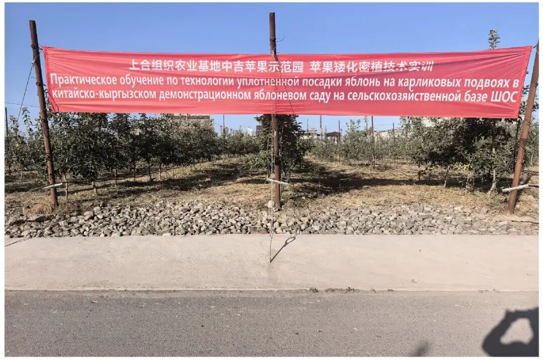 2026上合组织农博会吉尔吉斯斯坦田间展举办