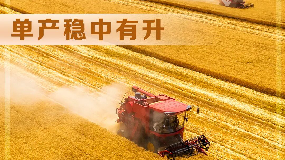 2026年全国夏粮产量首次突破3000亿斤