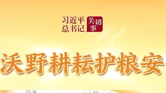 习近平总书记关切事丨沃野耕耘护粮安