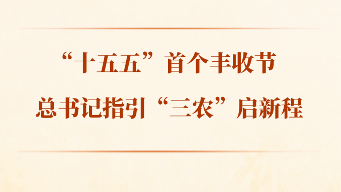 第一观察丨“十五五”首个丰收节，总书记指引“三农”启新程