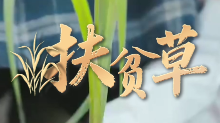 宁夏“菇爷”林占熺，为何被总书记专门提起？