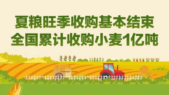 夏粮旺季收购基本结束 全国累计收购小麦1亿吨