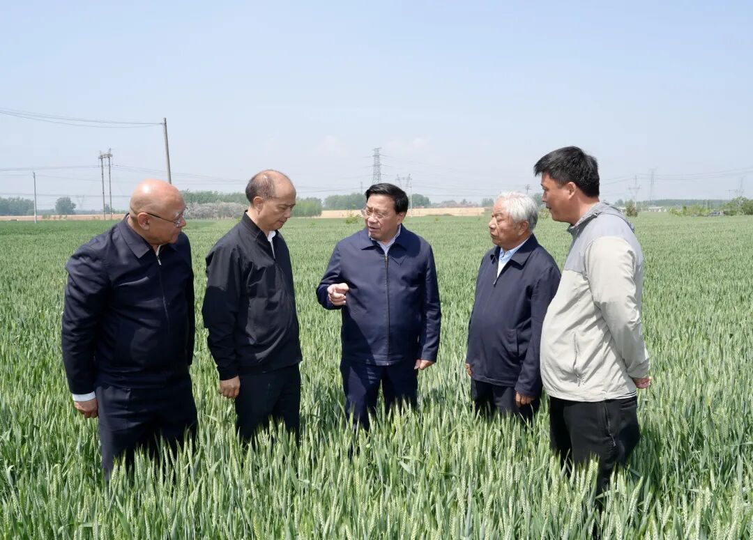 韩俊在河南调研时强调 全力抓好春季农业生产 大力推动生猪产业内涵式发展