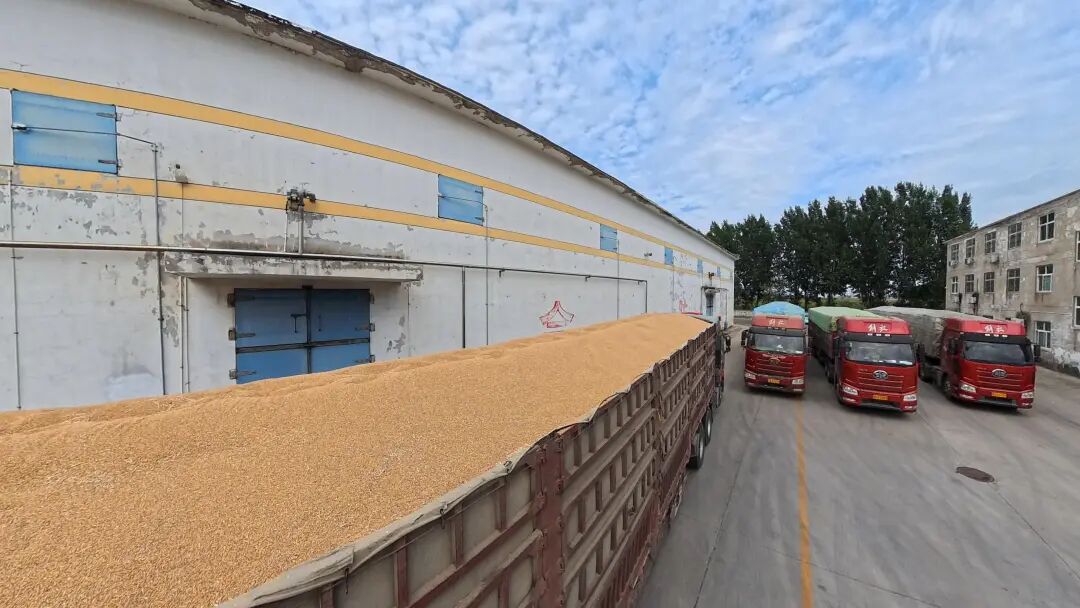 夏粮收购准备就绪