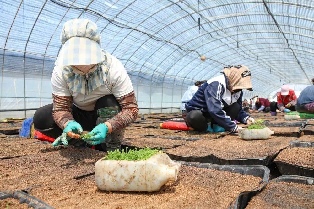 习近平的两会时间丨两个德胜村，同一份牵挂