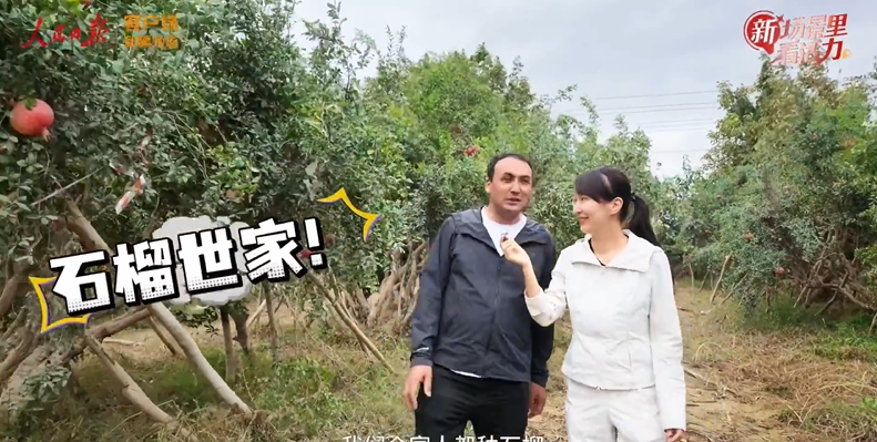 石榴熟了，日子红了！