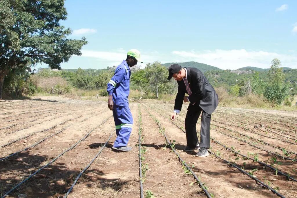 习近平主席复信津巴布韦老战士寄语中非友好续写新篇