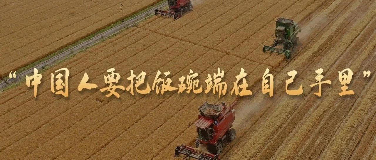 一习话｜“中国人要把饭碗端在自己手里”
