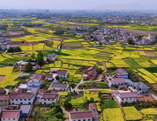 Sri Lankan eyewitness account highlights China's poverty reduction, development