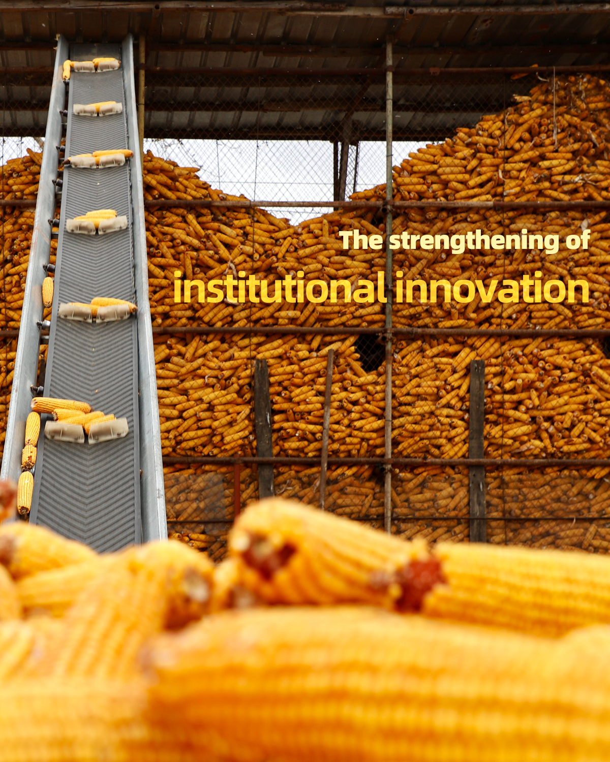 China outlines plans for agricultural modernization, rural revitalization