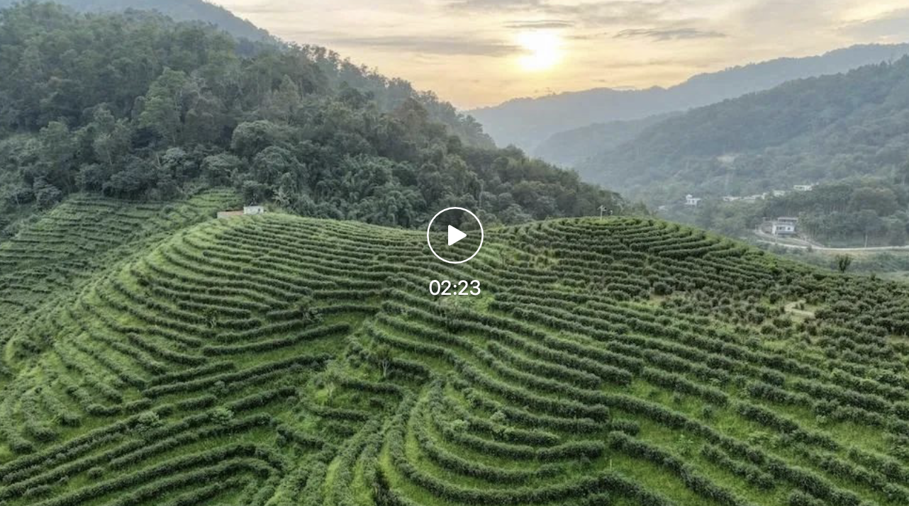 回声｜“总书记，水满乡年年硕果累累”