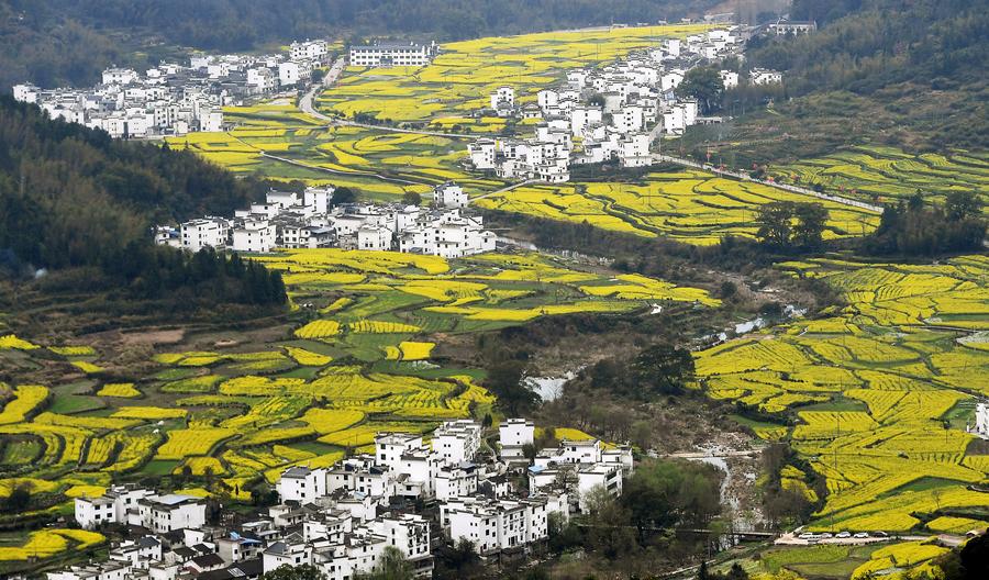 Rural revitalization composes symphony of ecology, culture in east China county