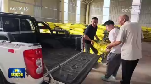 全国秋粮收获进度过半 秋冬种陆续展开