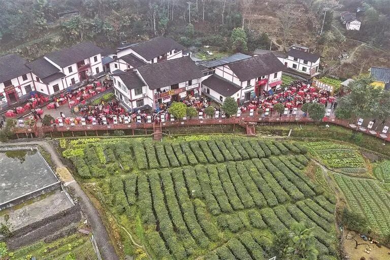 十年“提质换挡”，神山村惊人巨变