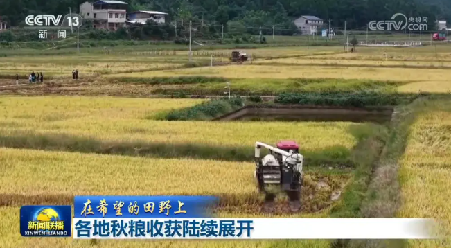 各地秋粮收获陆续展开