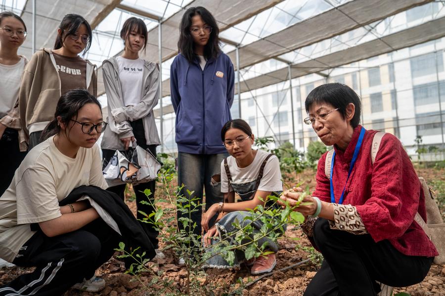 Coffee tourism brews rural revitalization in SW China's Yunnan