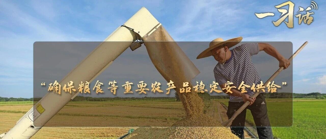 一习话丨“确保粮食等重要农产品稳定安全供给”