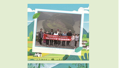 Rural revitalization through global eyes