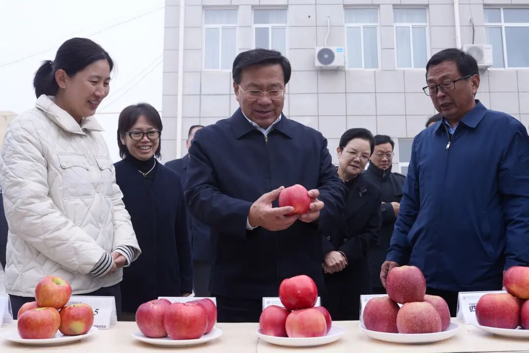 韩俊在陕西调研时强调 推动科技创新和产业创新深度融合 因地制宜发展壮大乡村富民产业