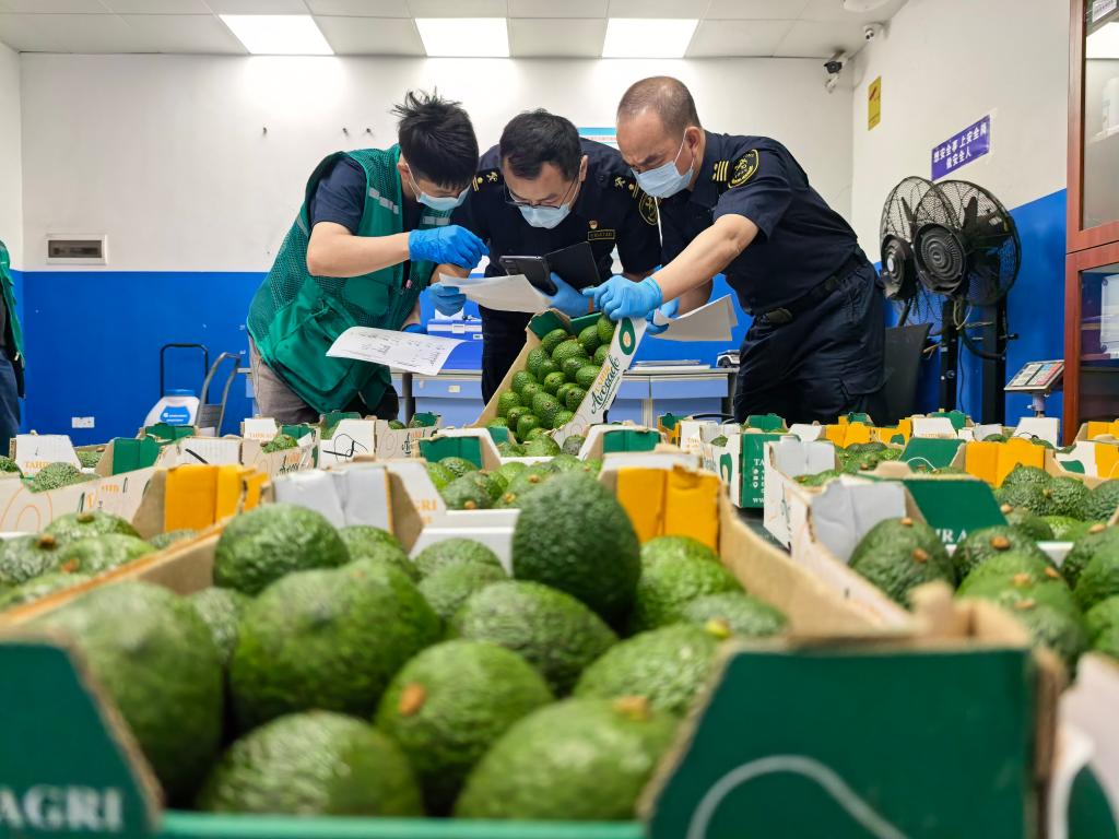 零关税助力非洲好物拥抱中国大市场