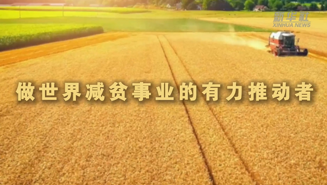 做世界减贫事业的有力推动者