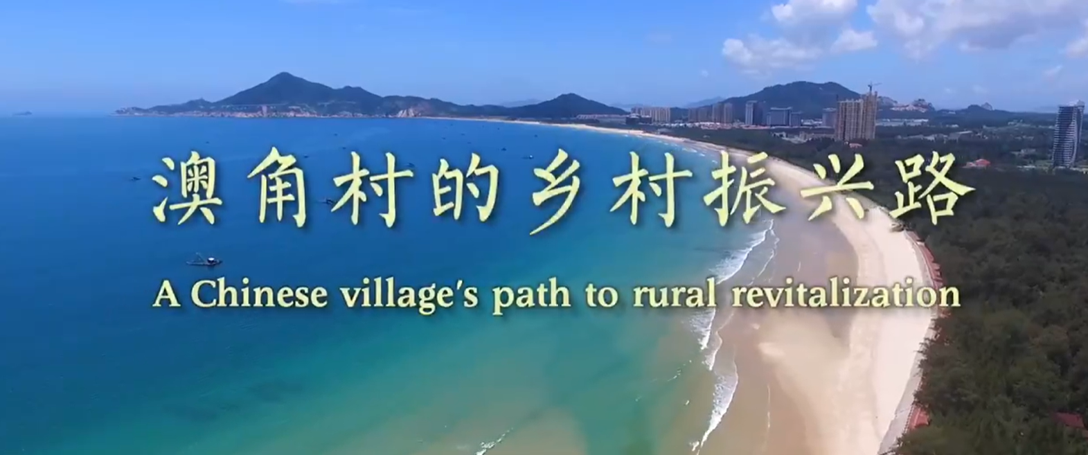 A Chinese village's path to rural revitalization