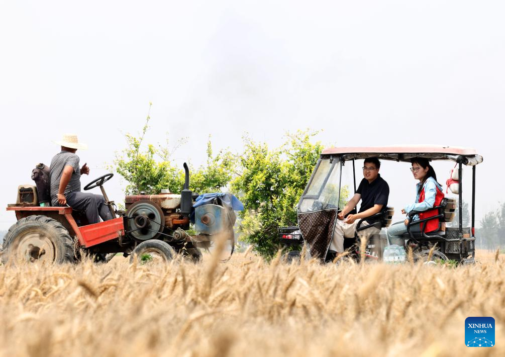 Young talents shine in quest for rural revitalization