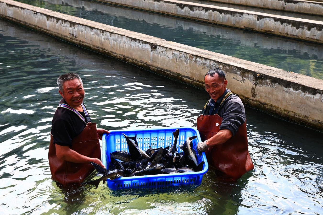 中国代表团参加联合国粮农组织渔业委员会第37届会议