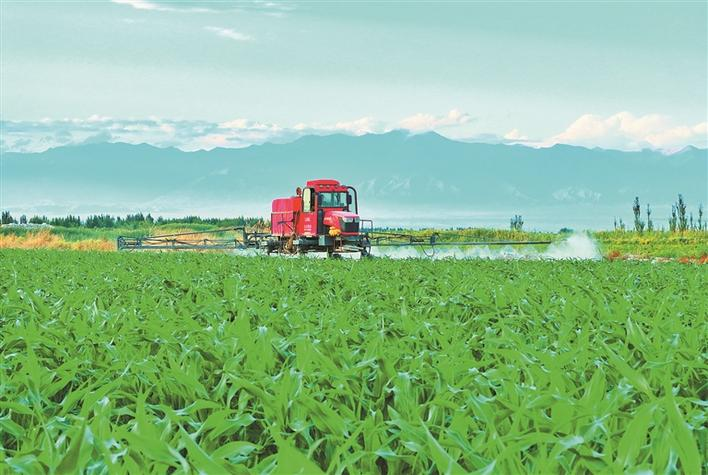 中央财办、中央农办有关负责人解读中央一号文件 | 粮食安全这根弦必须始终绷紧