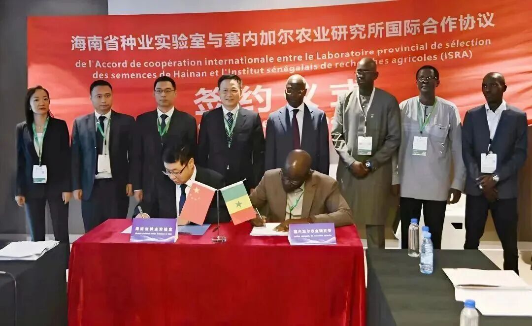 海南省种业实验室与塞内加尔农业研究所成功签约国际合作协议