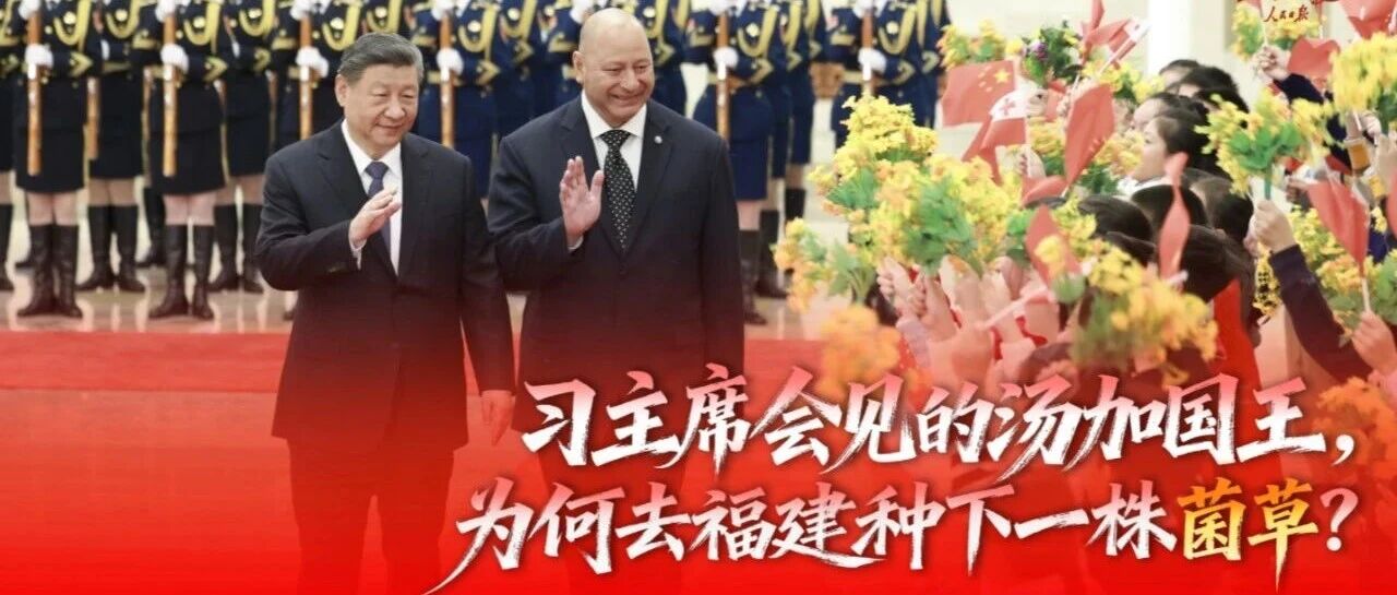 习主席会见的汤加国王，为何去福建种下一株菌草？