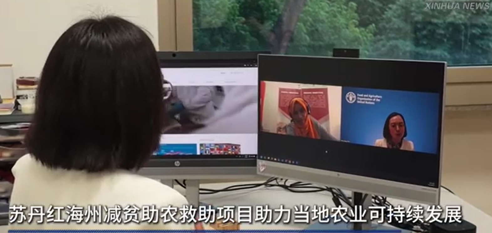 苏丹红海州减贫助农救助项目助力当地农业可持续发展