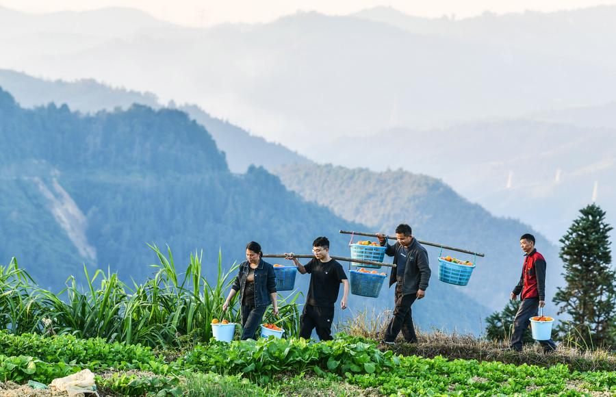 China's poverty alleviation experience opens up new opportunities for Uzbekistan, says scholar