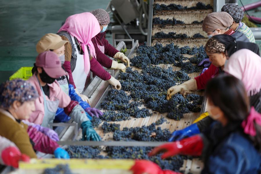 Relocated villagers stage poverty-to-prosperity story in northwest China