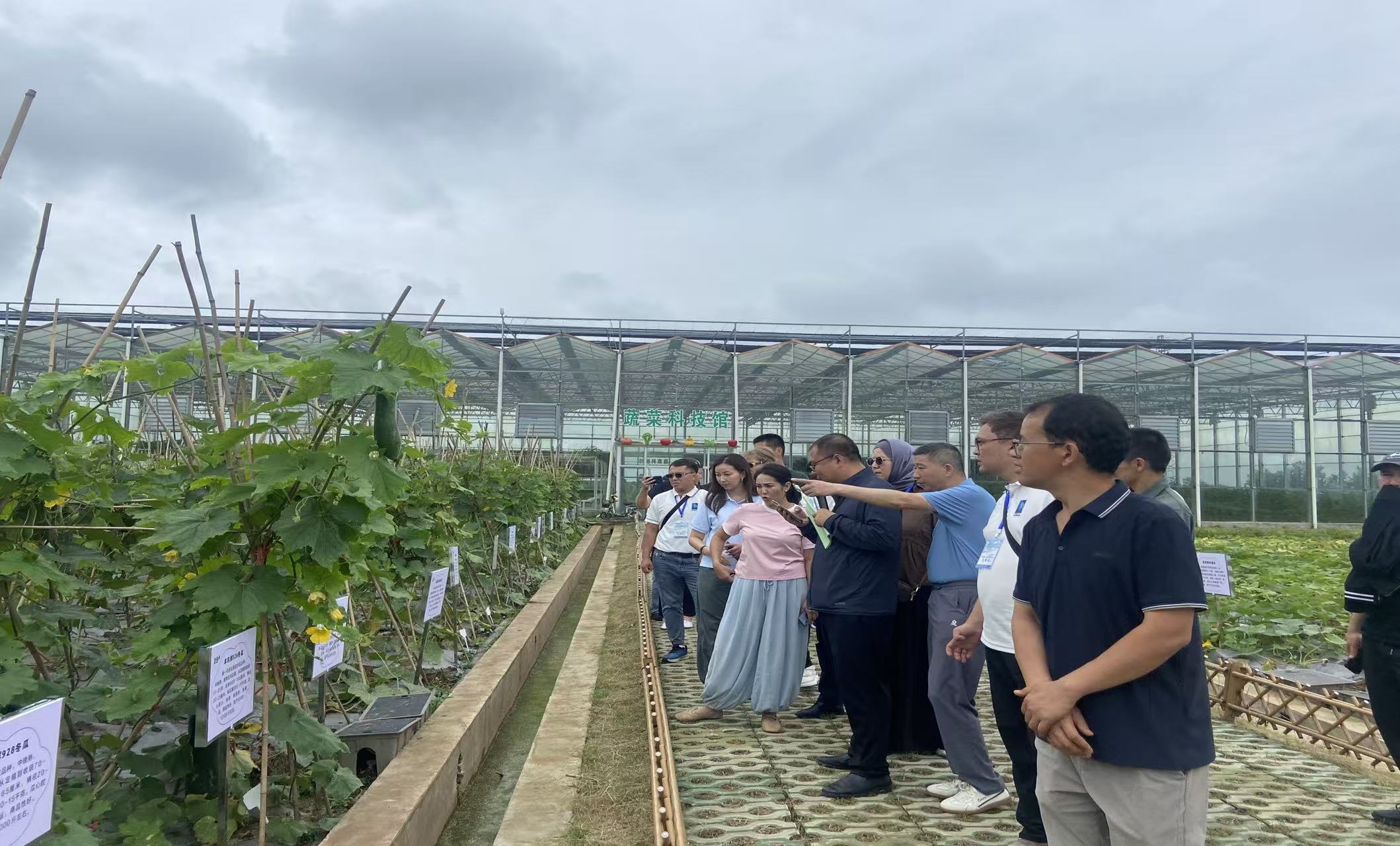吉尔吉斯斯坦减贫能力建设研修班在华举办