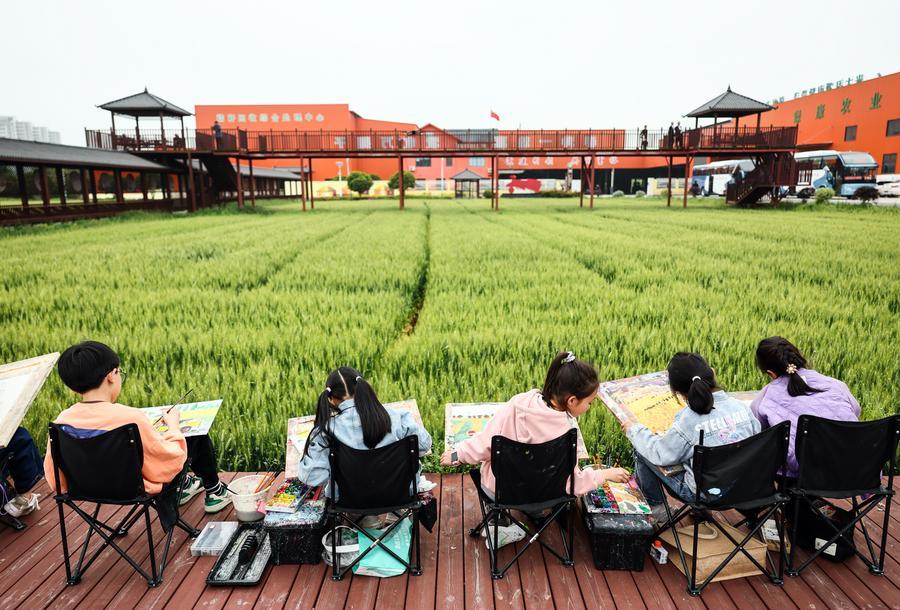 Party building powers rural revitalization, lights up dreams of villagers