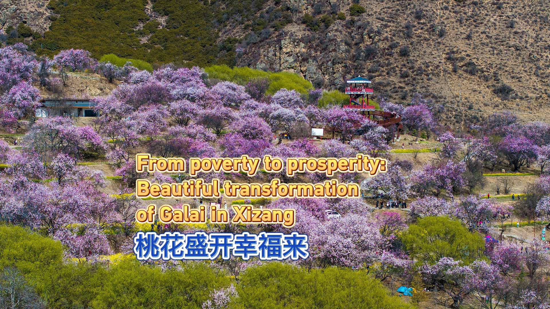 From poverty to prosperity: Galai's beautiful transformation