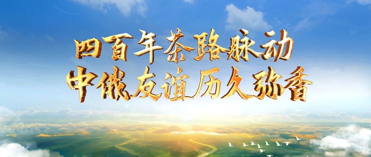 大道之行丨四百年茶路脉动 中俄友谊历久弥香