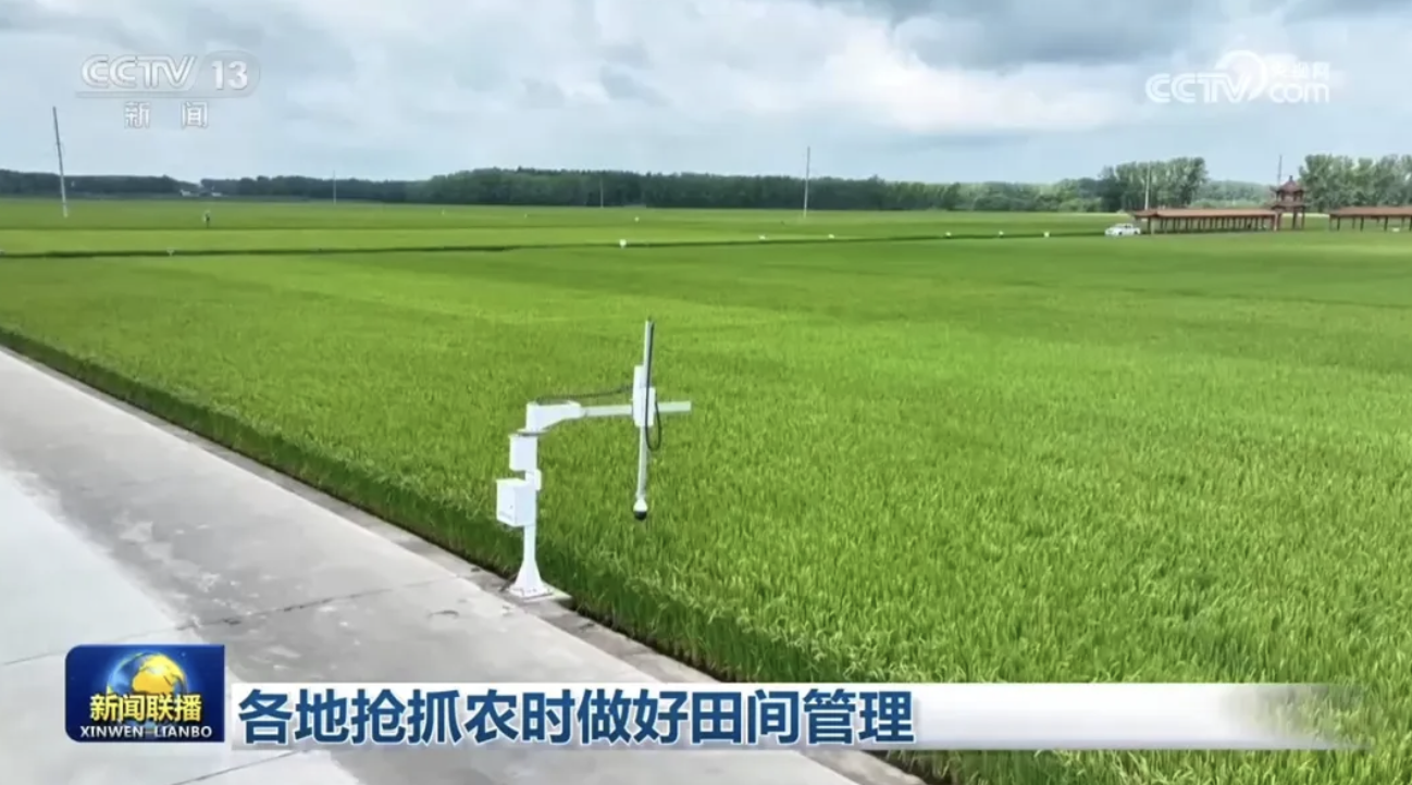 各地抢抓农时做好田间管理