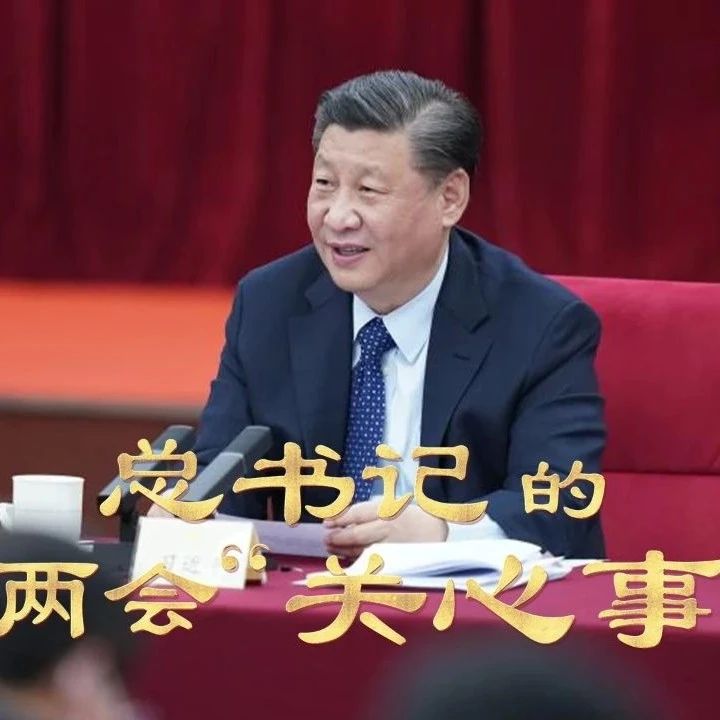习言道丨总书记的两会“关心事”