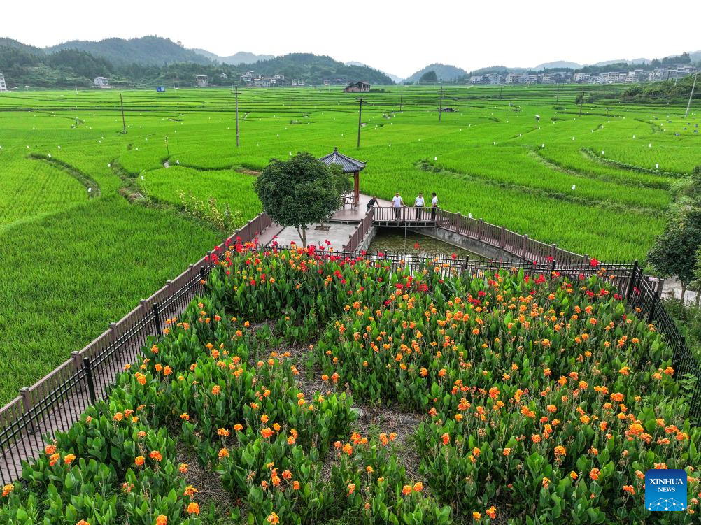 Rural living environment improved in China's Guizhou