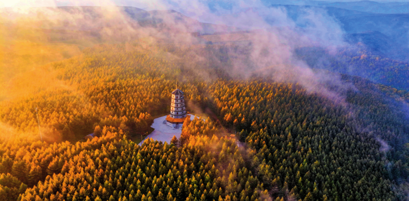 瞭望·第一学习丨建设人与自然和谐共生的现代化
